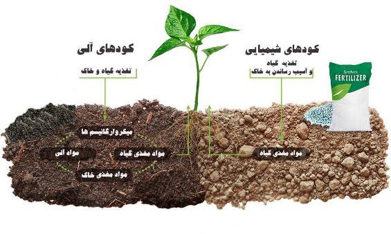 روش استفاده از کود ورمی کمپوست