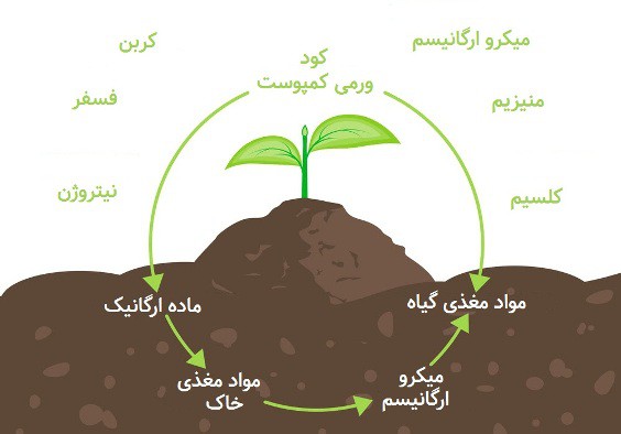 30 خواص برجسته کود ورمی کمپوست