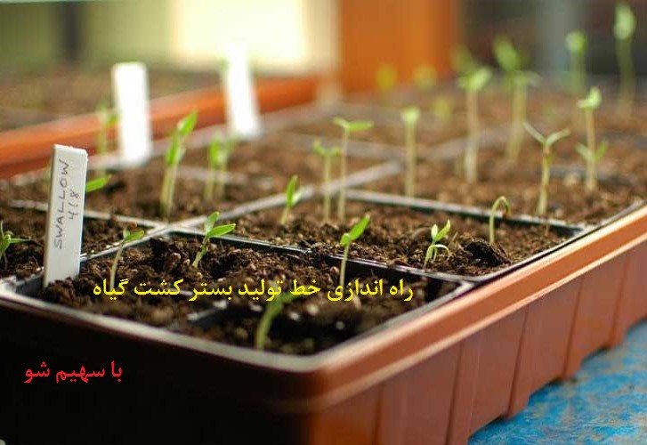 راه اندازی خط تولید بستر کشت گیاه با سهیم شو