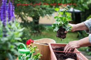 تولید خاک گلدان در خانه
