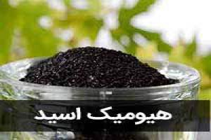 تأثیر هیومیک اسید در کیفیت دانه‌ های پسته