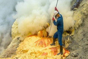 نقش کود گوگرد در باروری گیاهان