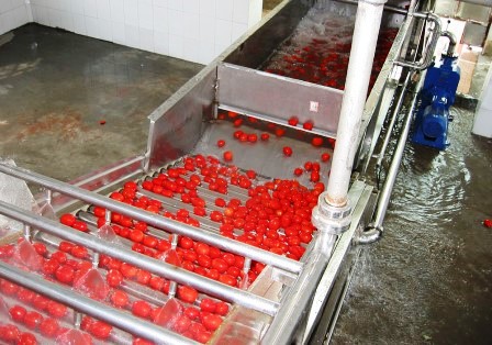 فروش کارخانه رب گوجه فرنگی در اهواز
