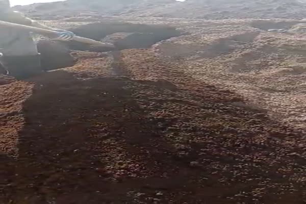 فروش کود ورمی کمپوست