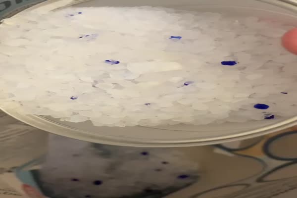 بهترین خاک گربه ایران با چک یکماهه