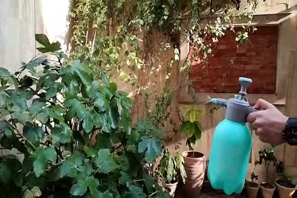 سمپاش دو لیتری