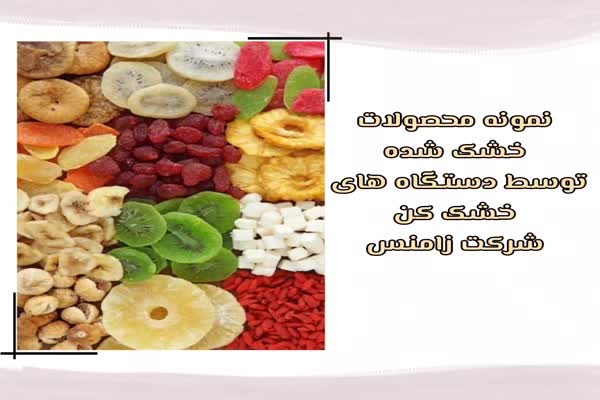 نمونه محصولات خشک تهیه شده توسط خشک کن های شرکت زامنس
