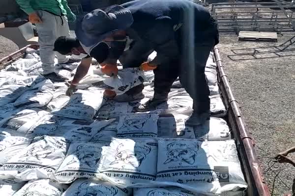 ارسال خاک گربه به سراسر ایران