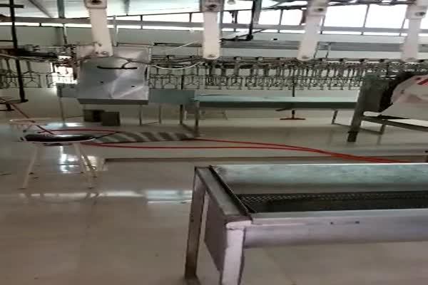 فروش گوشت بلدرچین