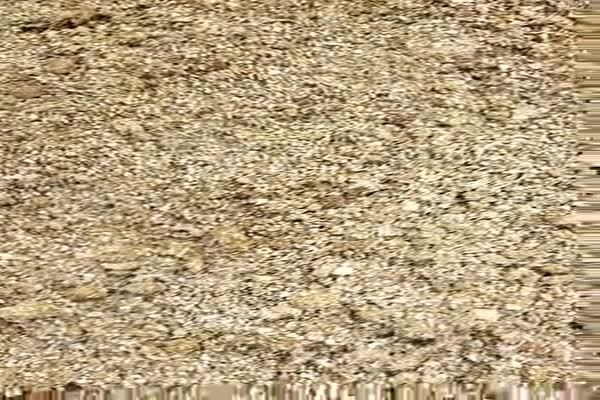 کود بلدرچین تمیز