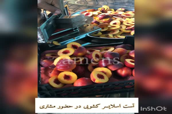 اسلایسرکشویی زامنس0