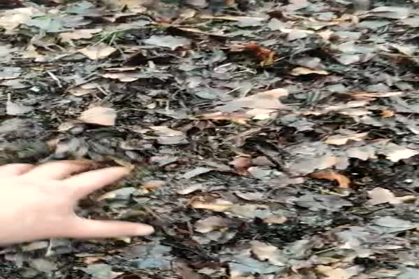 بسته بندی کود با 50 میلیون