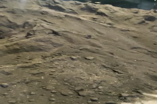 فروش خاک برگ