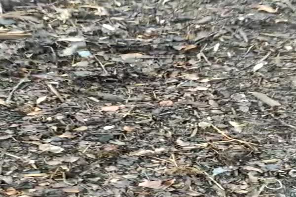 تولیدی با 50 میلیون با تضمین خرید