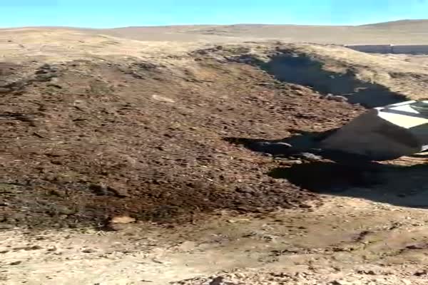 کود حیوانی پوسیده