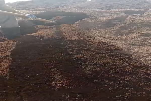 فروش کود ورمی کمپوست سرند نشده