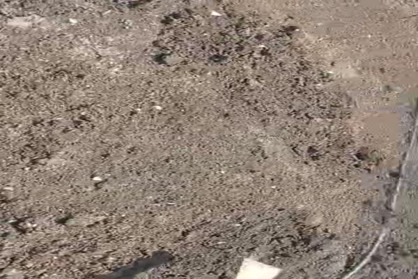 فروش کود ورمی کمپوست سرند شده ممتاز درجه یک