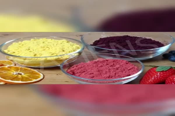 طرز تهیه پودر میوه شرکت زامنس