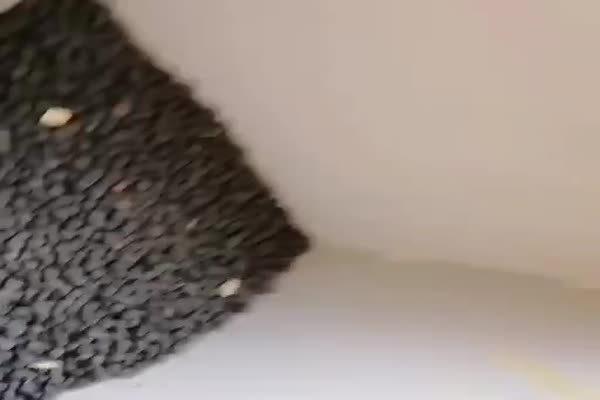 دستگاه لپه کن نخود