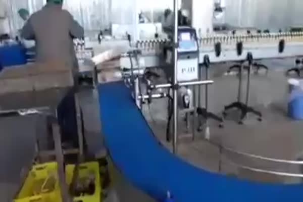 فروش کارتن چسب زن