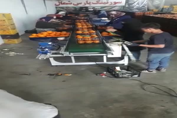 میزبسته بندی پرتقال یا میزکار ماشین سازی ویرا مازندران
