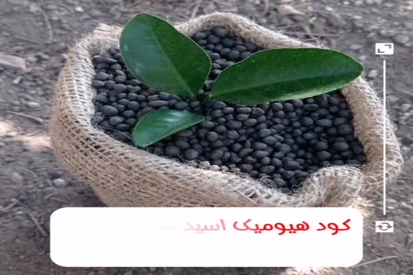 کود هیومیک اسید گرانول