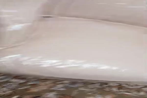 ثابت کردن روکش و کاور مبل  بدون یک ذره جابجا شدن کاور و روکش حتی با کشیدن